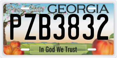 GA license plate PZB3832