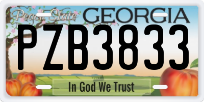 GA license plate PZB3833