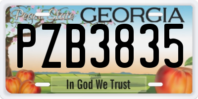 GA license plate PZB3835