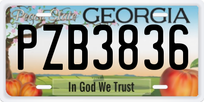 GA license plate PZB3836