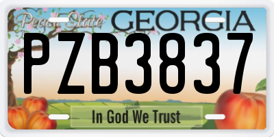 GA license plate PZB3837
