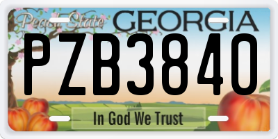 GA license plate PZB3840
