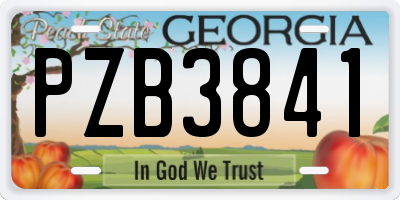 GA license plate PZB3841