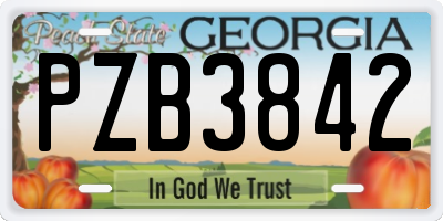 GA license plate PZB3842
