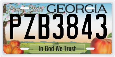 GA license plate PZB3843