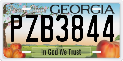 GA license plate PZB3844