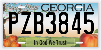 GA license plate PZB3845