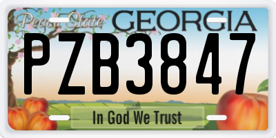 GA license plate PZB3847