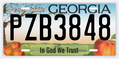 GA license plate PZB3848