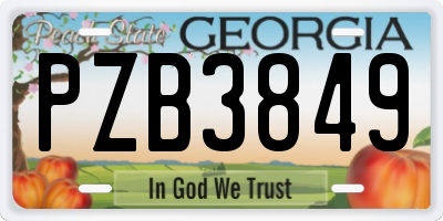 GA license plate PZB3849