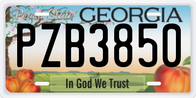 GA license plate PZB3850