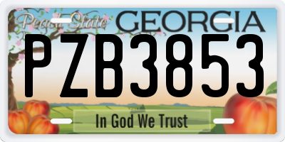 GA license plate PZB3853