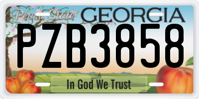 GA license plate PZB3858