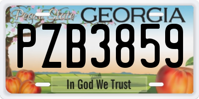 GA license plate PZB3859