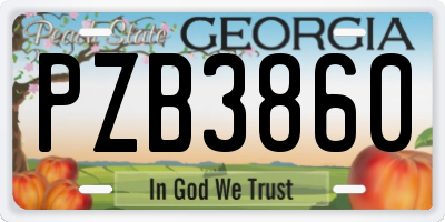 GA license plate PZB3860