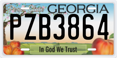 GA license plate PZB3864