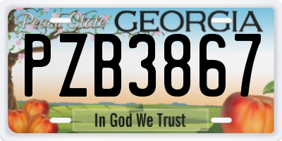 GA license plate PZB3867