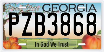 GA license plate PZB3868