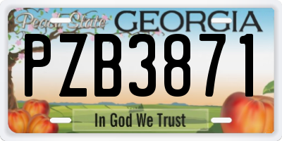 GA license plate PZB3871