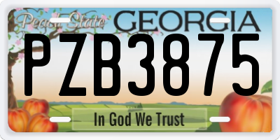 GA license plate PZB3875