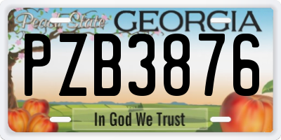 GA license plate PZB3876