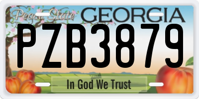 GA license plate PZB3879
