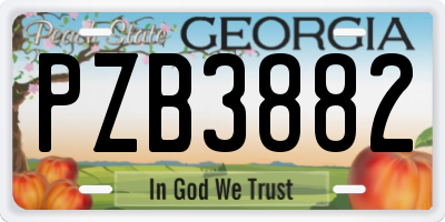 GA license plate PZB3882