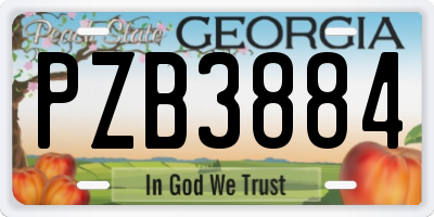 GA license plate PZB3884