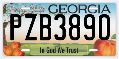 GA license plate PZB3890