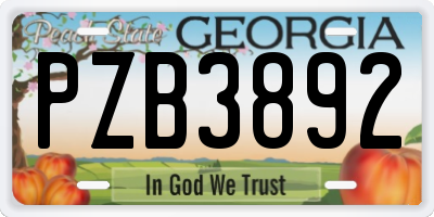 GA license plate PZB3892