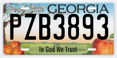 GA license plate PZB3893