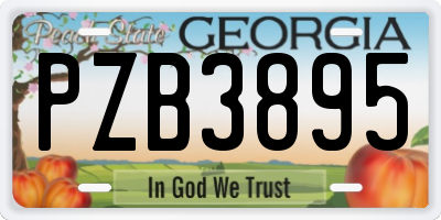 GA license plate PZB3895