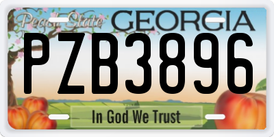 GA license plate PZB3896