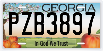 GA license plate PZB3897