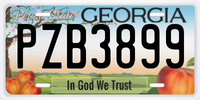 GA license plate PZB3899