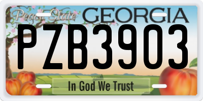 GA license plate PZB3903
