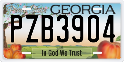 GA license plate PZB3904