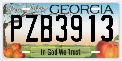 GA license plate PZB3913