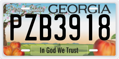 GA license plate PZB3918