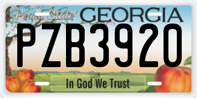 GA license plate PZB3920
