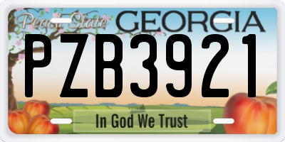 GA license plate PZB3921