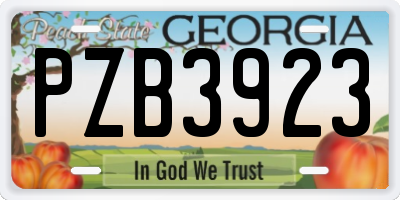 GA license plate PZB3923