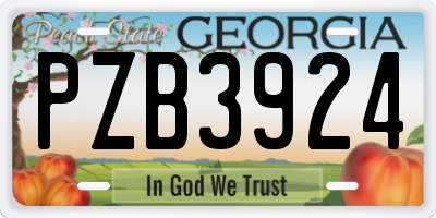 GA license plate PZB3924