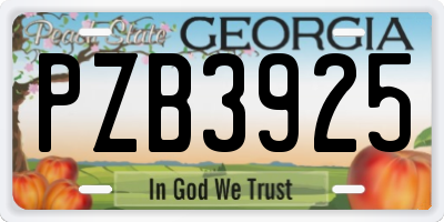 GA license plate PZB3925