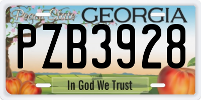 GA license plate PZB3928