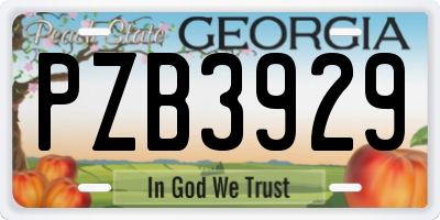 GA license plate PZB3929