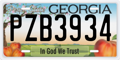 GA license plate PZB3934