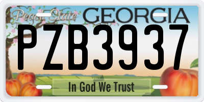 GA license plate PZB3937
