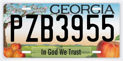 GA license plate PZB3955
