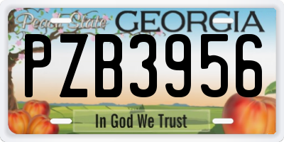 GA license plate PZB3956